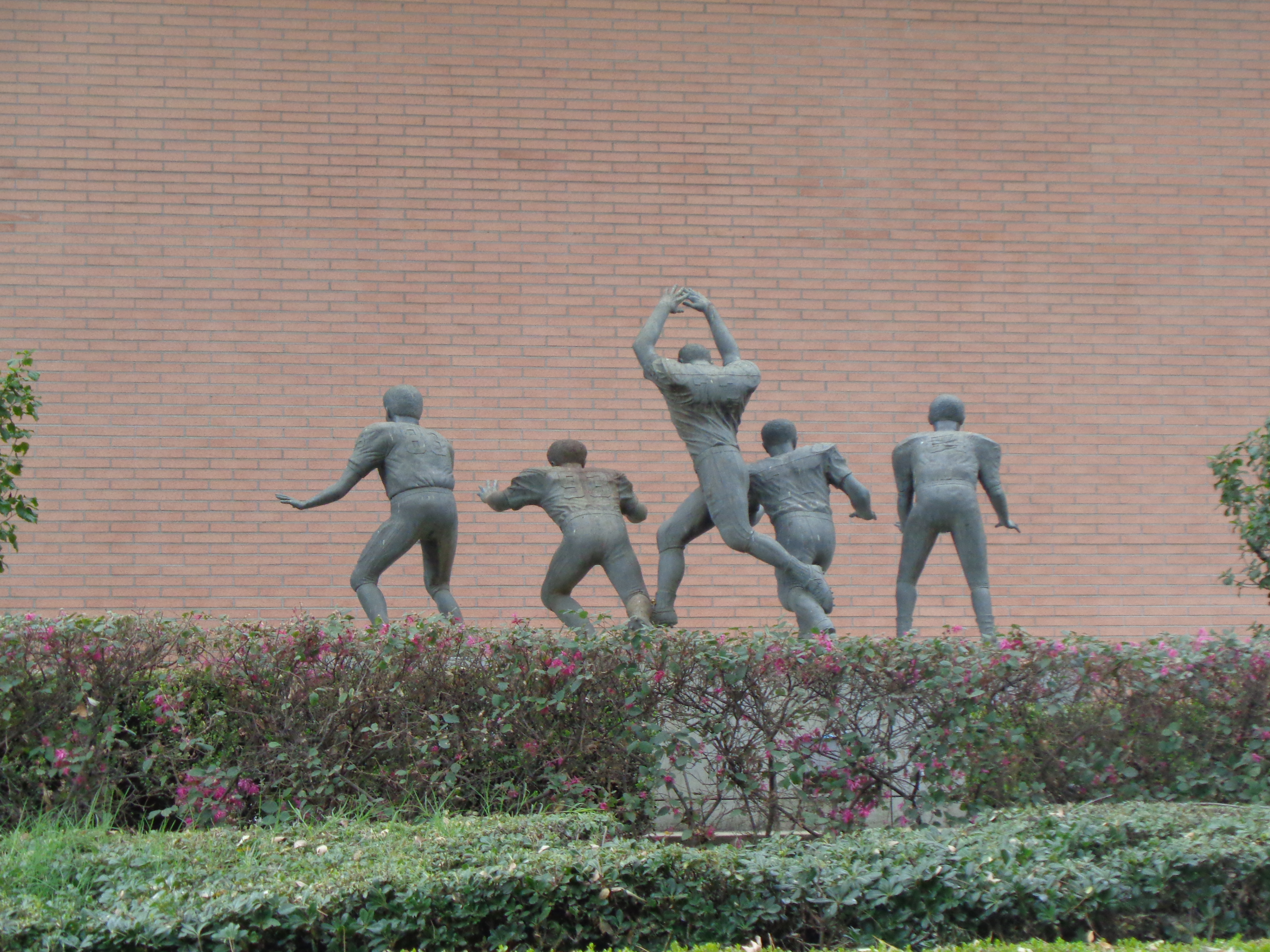 Image 17